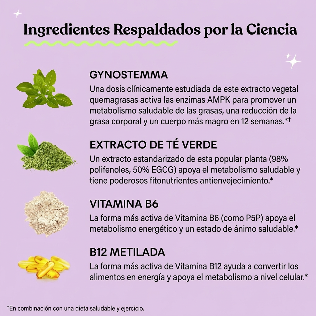 OFERTA 2X1 | Apoyo al Metabolismo y Reducción de Grasa Abdominal