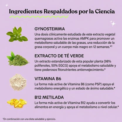 OFERTA 2X1 | Apoyo al Metabolismo y Reducción de Grasa Abdominal